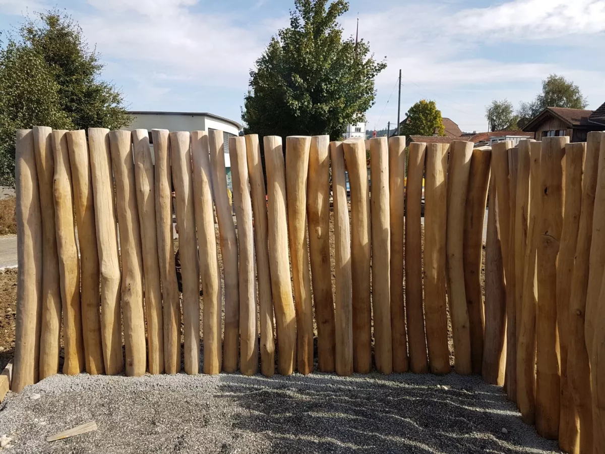 Robinien_Staemme_als_Wand_tgkn0rfcddhs.jpg Robinien_Staemme_als_Wand_tgkn0rfcddhs.jpg