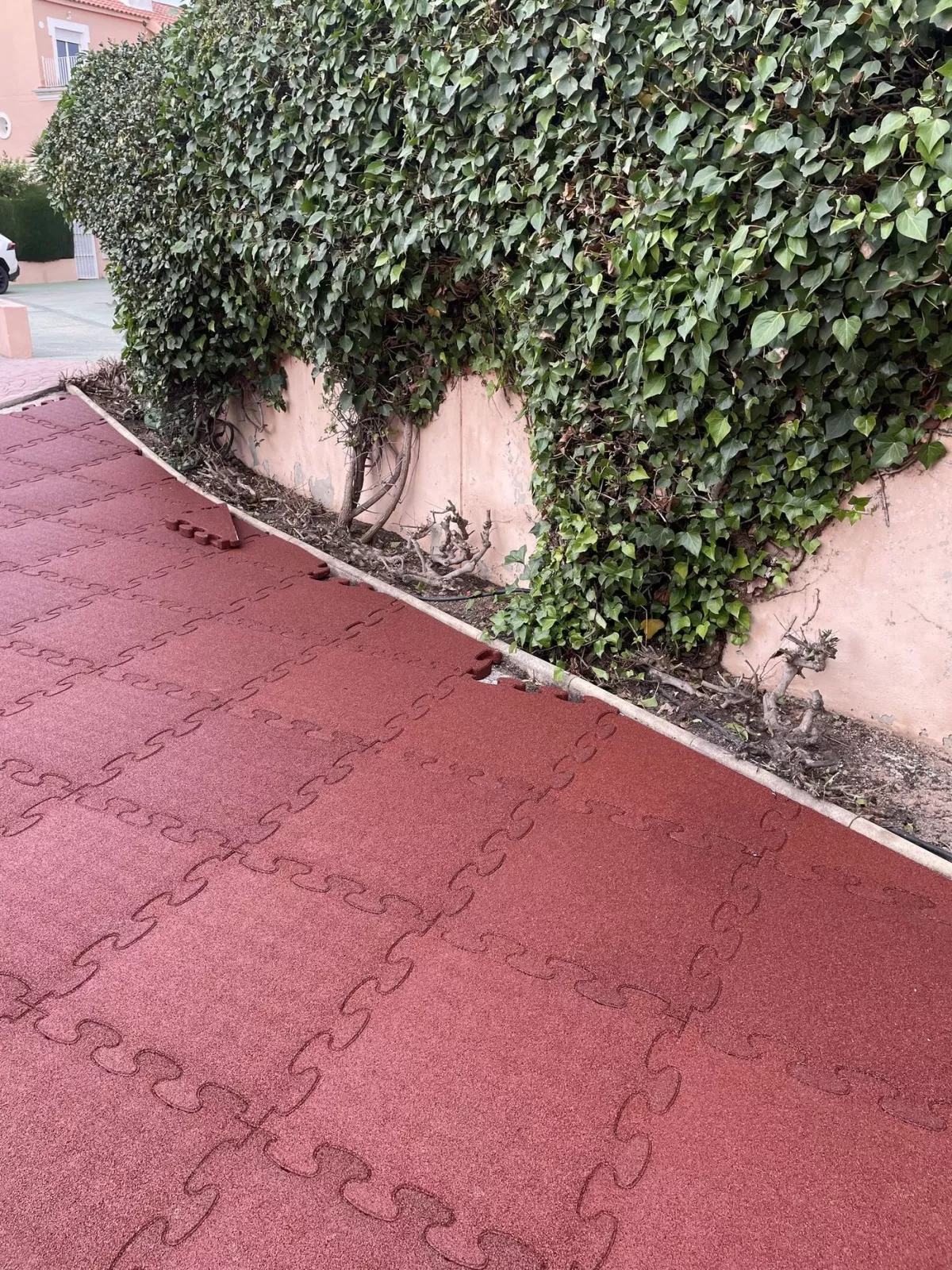 pm3d rand.jpg pm3d rand.jpg