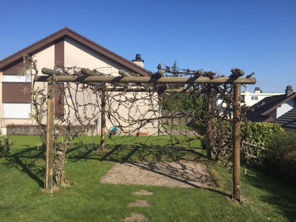 Rundholzpergola.jpg Rundholzpergola.jpg