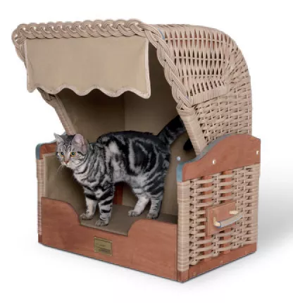 katzenstrandkorb.png katzenstrandkorb.png