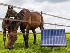 Elektrozaun_Gallagher_1jqd5mvjl64rc.jpg Elektrozaun_Gallagher_1jqd5mvjl64rc.jpg