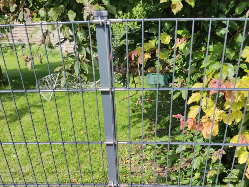 Flachstabmattenzaun.jpg Flachstabmattenzaun.jpg