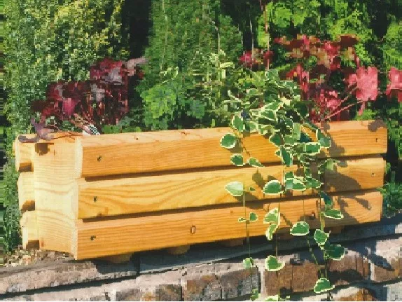 Fensterblumenkiste_Catania.jpg Fensterblumenkiste_Catania.jpg