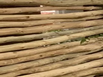 Eucalyptus_Stangen_ einzeln.jpg Eucalyptus_Stangen_ einzeln.jpg