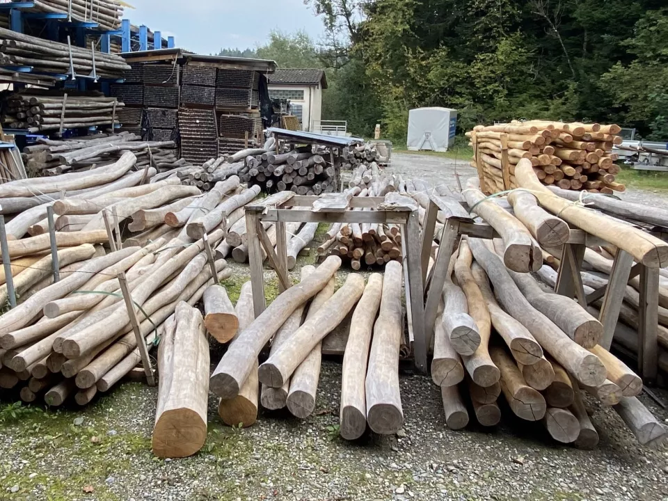 Robinien_Staemme_1.jpg Robinien_Staemme_1.jpg