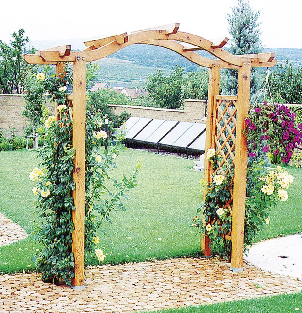 Rosenbogen_Alpina_1sovv0bnbpjlm.jpg Rosenbogen_Alpina_1sovv0bnbpjlm.jpg