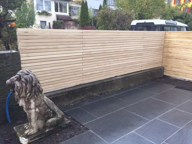 Silva_Wand.jpg Silva_Wand.jpg