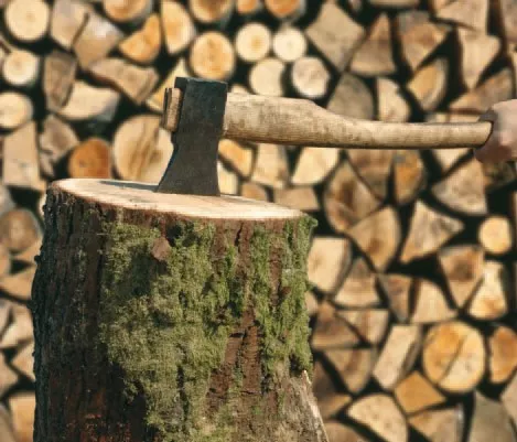 Spaltstock.jpg Spaltstock.jpg