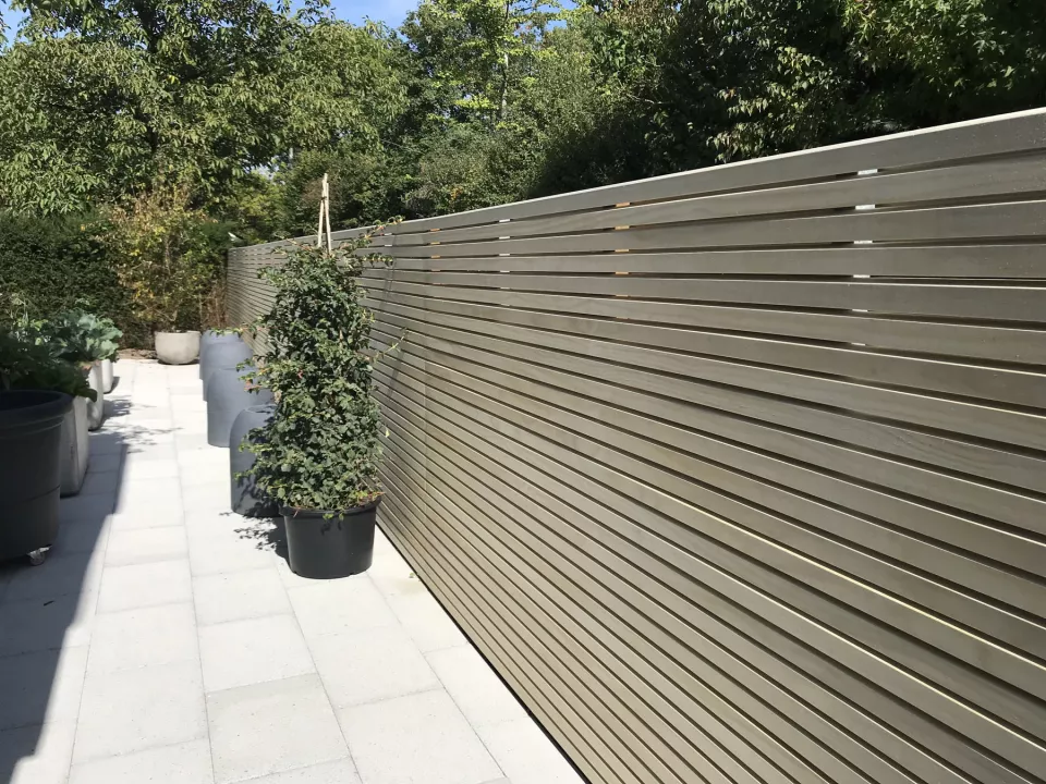 Silva_Wand2_1basipoi2ils9.jpg Silva_Wand2_1basipoi2ils9.jpg