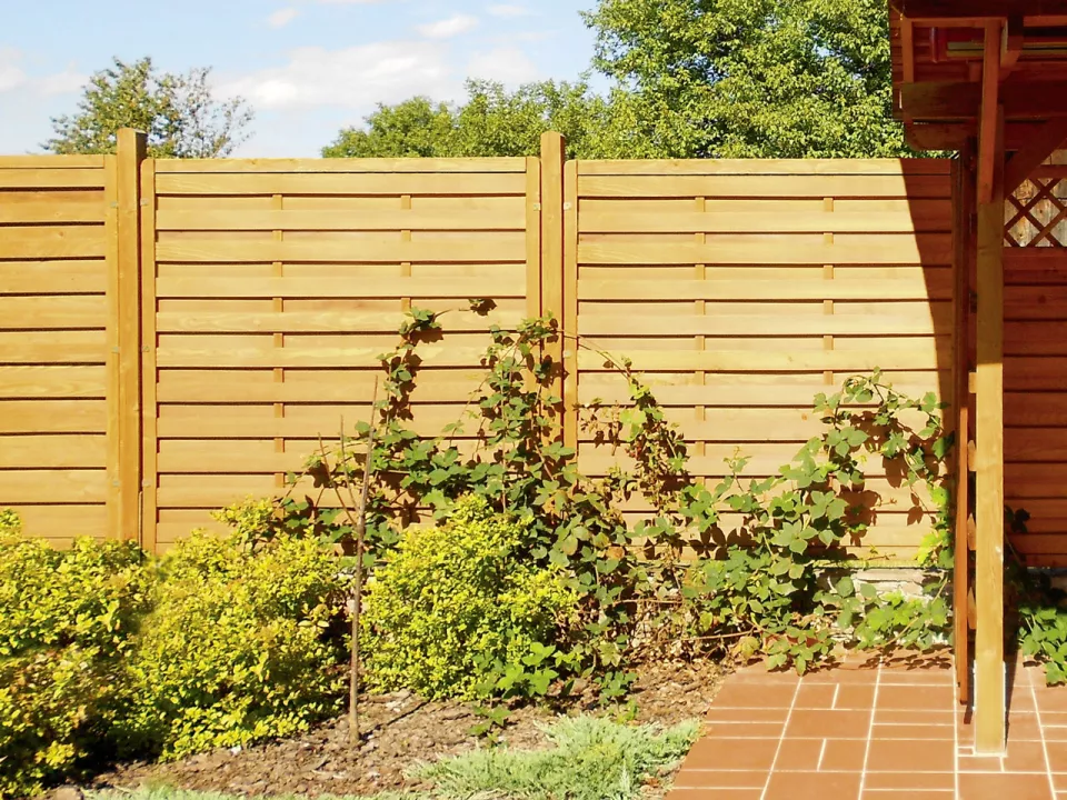 Sichtschutz_Brixe_Laerche_e16oagr01ikx.jpg Sichtschutz_Brixe_Laerche_e16oagr01ikx.jpg