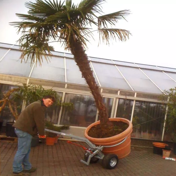 TK2-600_Pflanzentrogheber.jpg TK2-600_Pflanzentrogheber.jpg