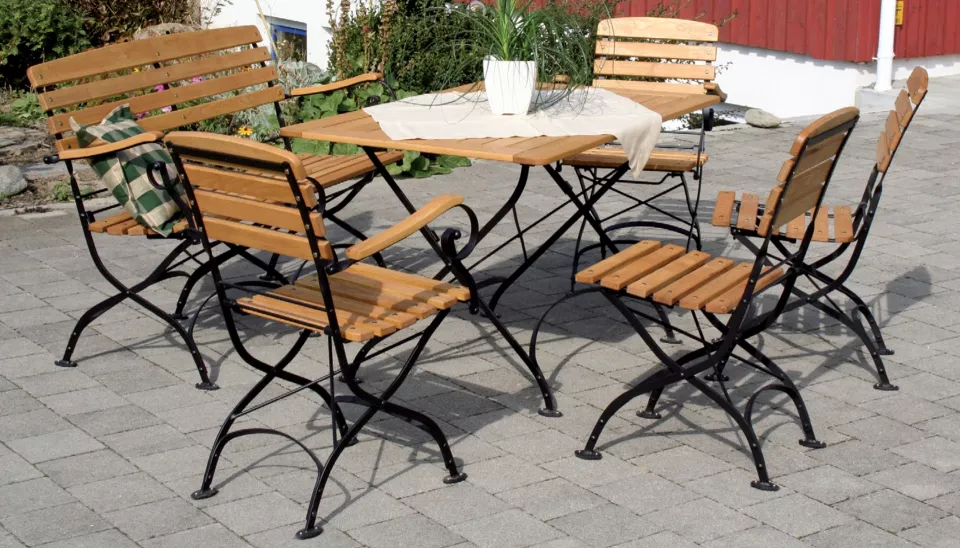 Sitzgruppe_Maja_Robinien_koomplett.jpg Sitzgruppe_Maja_Robinien_koomplett.jpg