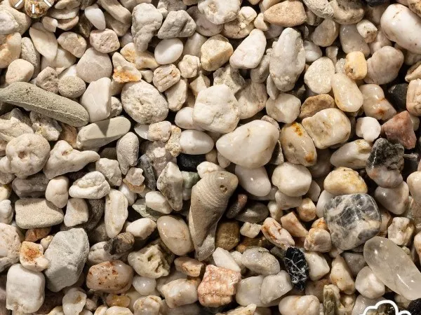 Quarzkies.jpg Quarzkies.jpg