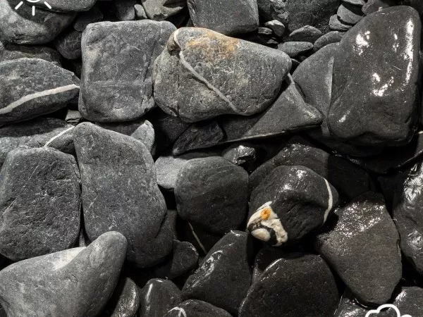 Canadian_Slate_getrommelt.jpg Canadian_Slate_getrommelt.jpg