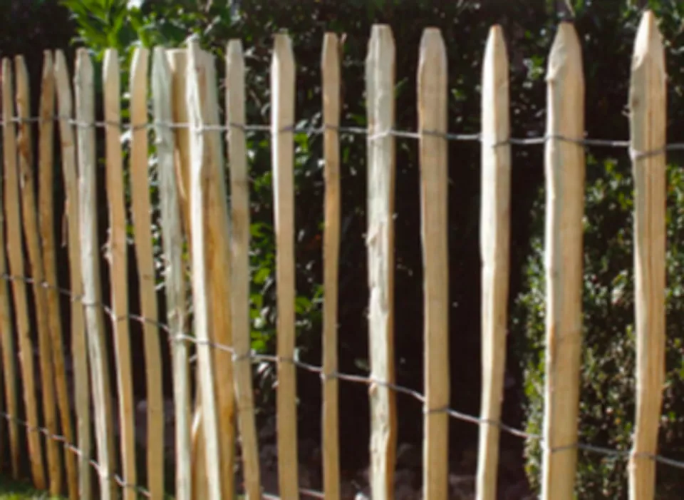 Rollzaun_Kastanie.jpg Rollzaun_Kastanie.jpg