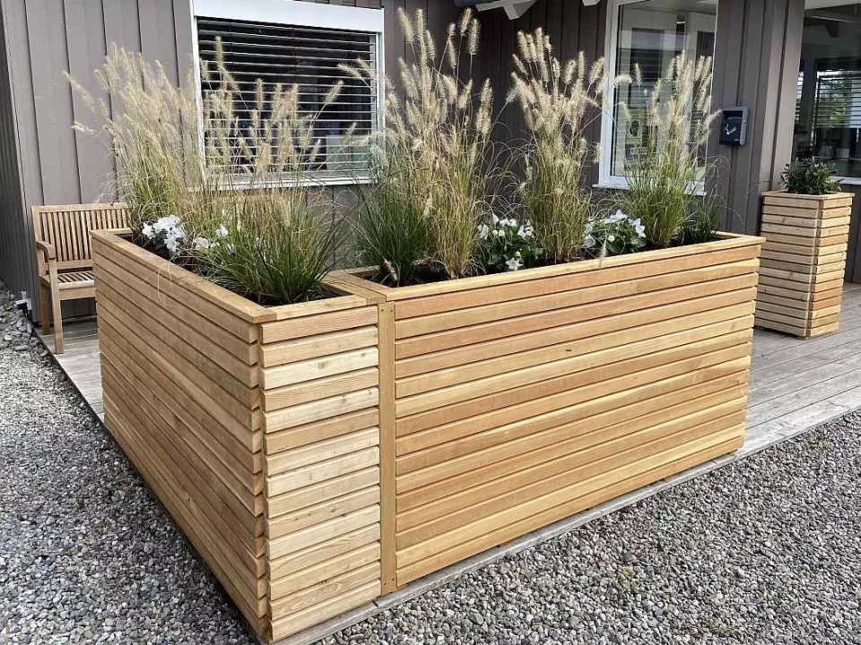 Plantae_R.jpg Plantae_R.jpg