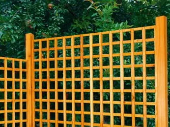 Rankgitter_Seis.jpg Rankgitter_Seis.jpg