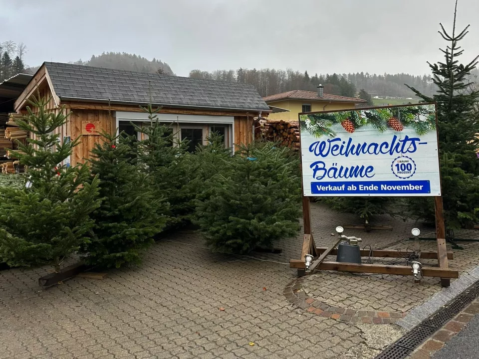 Weihnachtsbaeume_Dorfstrasse.jpg Weihnachtsbaeume_Dorfstrasse.jpg
