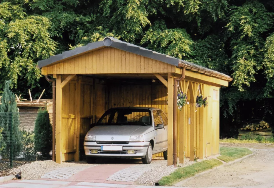 wedellf.jpg wedellf.jpg