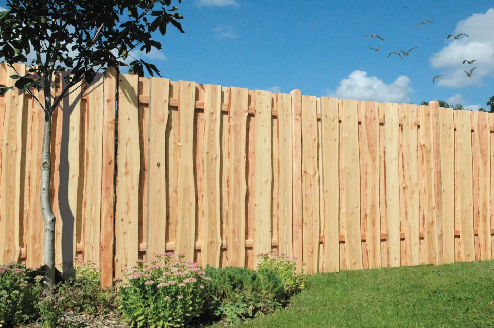 Ponderosa_natur_Kollage_150417.jpg Ponderosa_natur_Kollage_150417.jpg